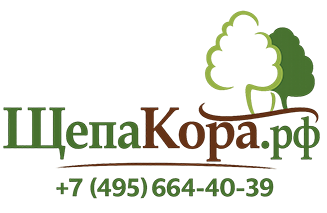 Щепа-кора